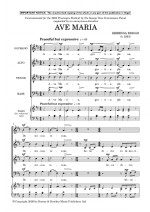 /images/print/DigiEd_979-0-060-15341-9_Briggs_Ave Maria_THUMB_EC_270226.pdf.jpg